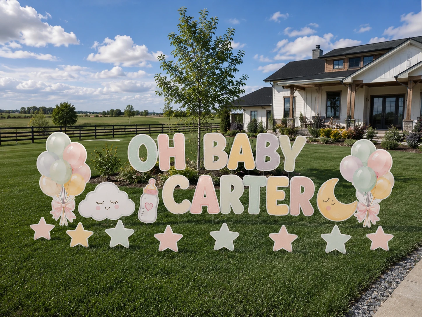 Oh Baby Carter baby yard sign sample setup